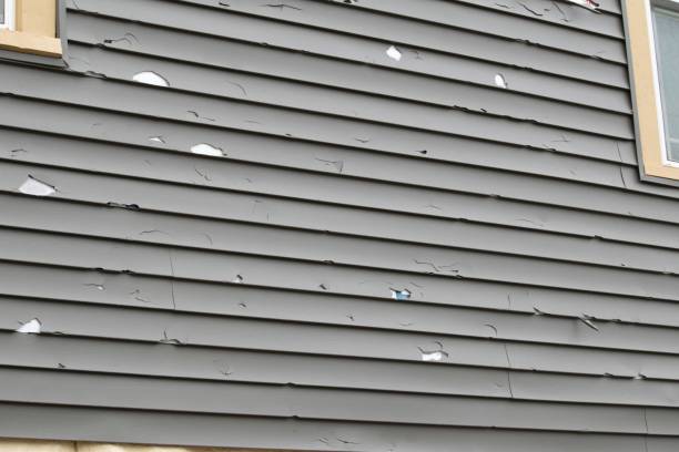 Best Composite Siding  in Hauser, ID